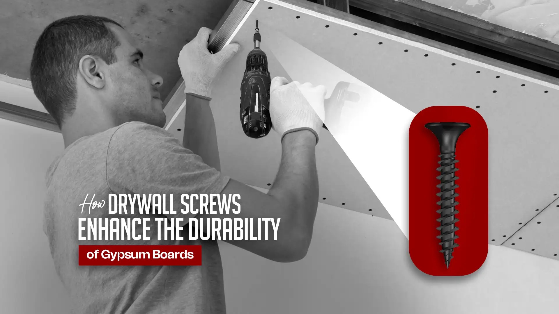 Drywall Screws